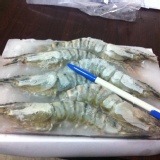 大有海鮮讚6P草蝦230元/盒*另加贈裹粉柳葉魚一包(3尾)*