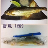 大有海鮮讚台灣爆卵母香魚450元/盒*10盒3990元=399元/盒*6，8尾