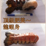 大有海鮮讚頂級肥美龍蝦身200克~300克/249元(隻) 特價：$249