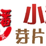 韓式辣蘿蔔(小辣)-小潘芽片泡菜(原鴉片泡菜)