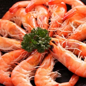 【將軍鮮食】活凍白蝦