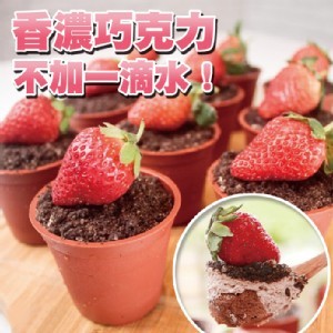 草莓盆栽提拉米蘇蛋糕