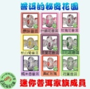 【預購】A 優惠組合 (1個月份30顆，綜合) 小巧版一級茶 (約4克/顆) 如單項缺貨，則以其他口味代替，介意請勿訂購 特價：$300