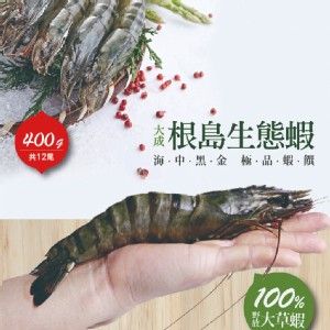 【大成食品】根島生態蝦