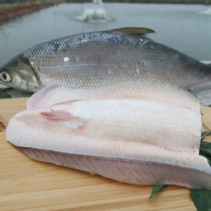 無刺虱目魚肚/片-(每片170g)