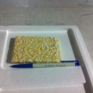 大有海鮮讚酥炸多利魚排一片10元，買10送1