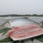 虱目魚柳條 (虱目魚里肌)