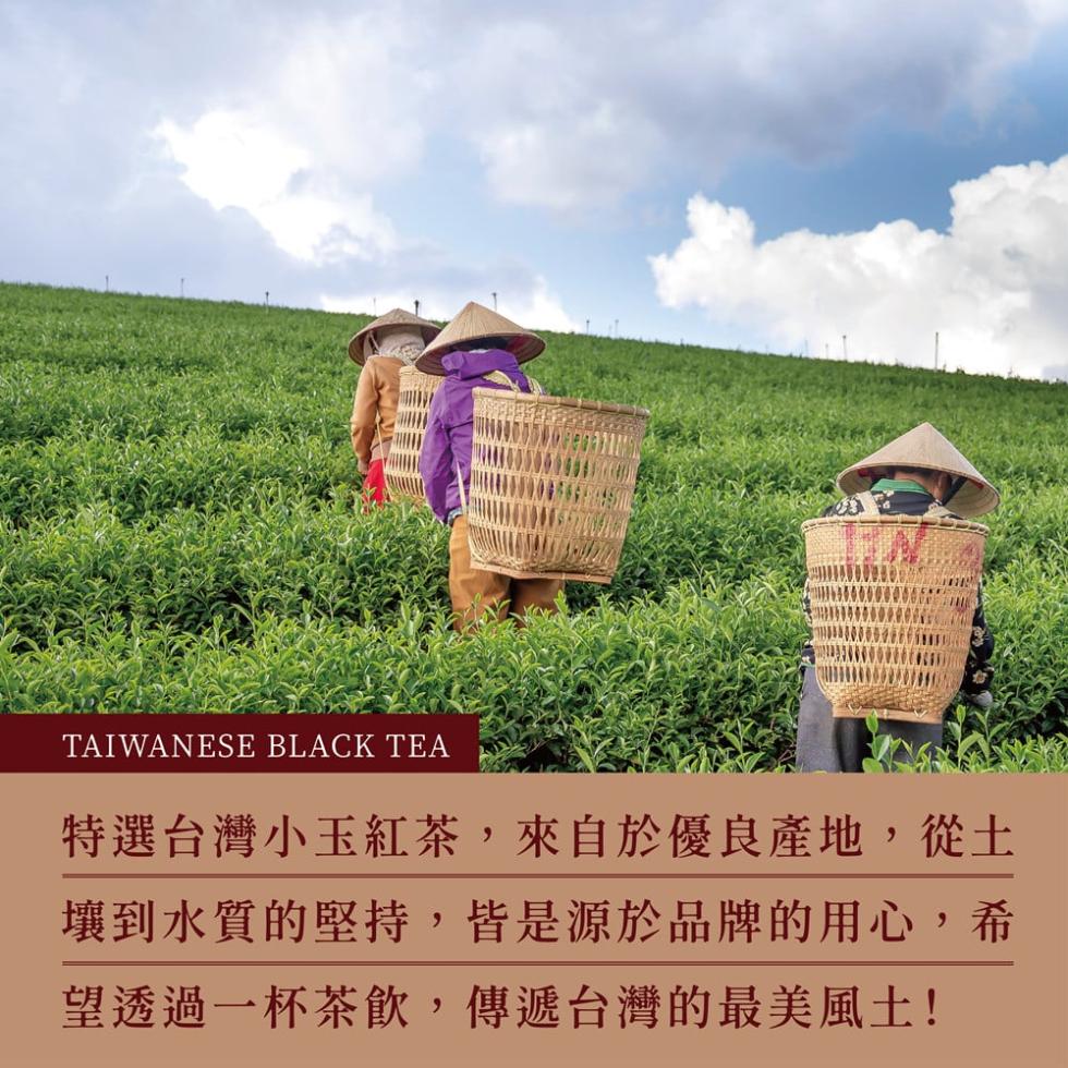 【台灣小玉】正宗古早味紅茶550ml (24瓶/箱) 飲料