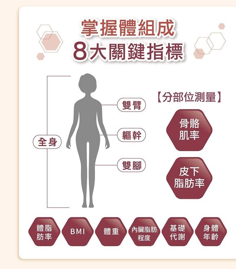 掌握體組成，8大關鍵指標，【分部位測量】，脂肪率，內臟脂肪。