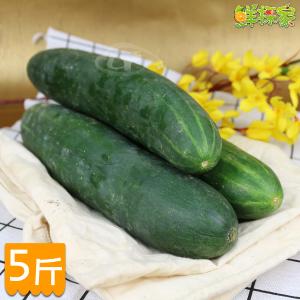 鮮採家 台灣特級鮮脆胡瓜 大黃瓜5台斤