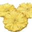 桔田屋-無毒無糖鳳梨果乾(70g+-5g)買二送一以此類推,買越多送越多