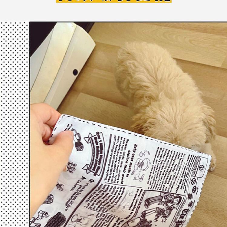 【CityStar】寵物狗狗發聲報紙可耐咬磨牙自嗨玩具