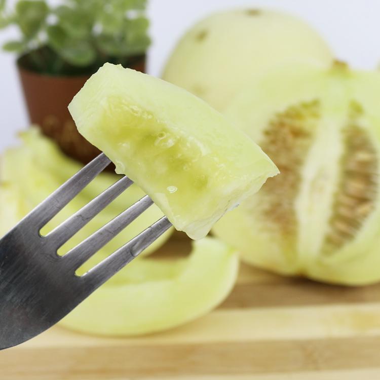 【果之家】美濃鮮採甜脆香瓜5台斤(約8-10顆)