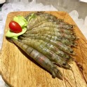 七股的純海水藻蝦/2台斤
