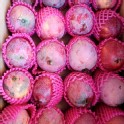 枋山芒果10台斤24粒裝