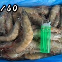 鮮甜白蝦1斤半