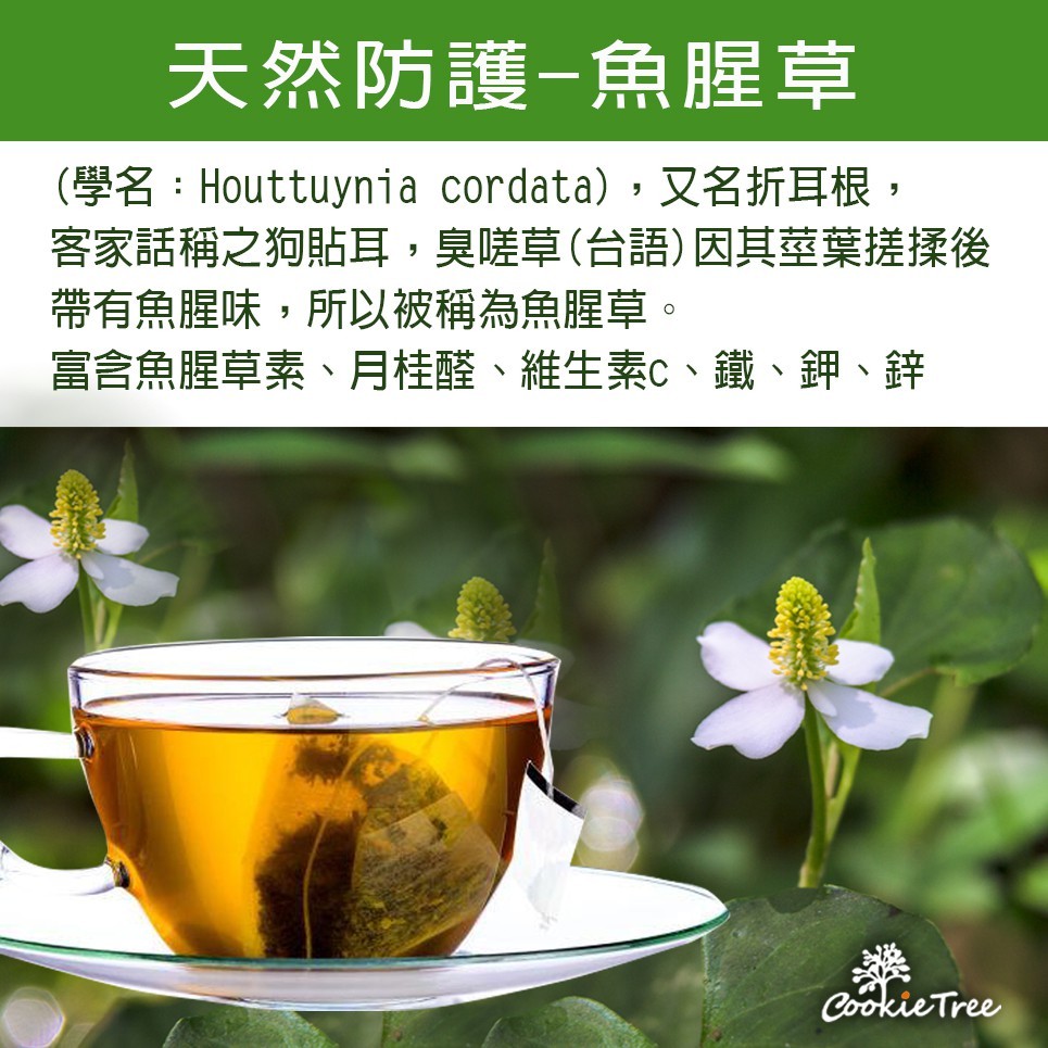 天然防護-魚腥草，(學名:Houttuynia cordata),又名折耳根,客家話稱之狗貼耳,臭嗟草(台語)因其莖葉搓揉後，帶有魚腥味,所以被稱為魚腥草。富含魚腥草素、月桂醛、維生素c、鐵、鉀、鋅。