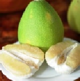 斗六老欉文旦 10台斤裝 500 含運費 中秋限量商品合購特惠 100 盒 特價：$500