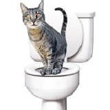 貓咪訓練沙盆 ~神奇傑克~新上架~新商品! 特價：$399