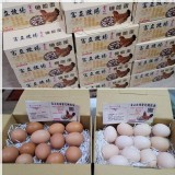 富立牧場靈芝機能蛋-白殼