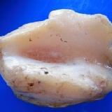 正包魚(批發零售)~團圓年菜最佳拌手禮一定不能錯過的好滋味