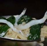 OH！YA§吻仔魚§第一手東石港現撈捕獲～營養又健康 可以生吃東石現撈捕抓真的很少