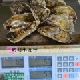 中秋預購焗烤東石生蠔~送！送！送！買10斤送1斤~歡迎碳烤店.吃到飽店大量訂購