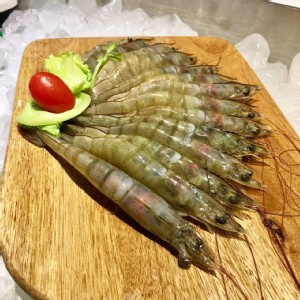 七股的純海水藻蝦/2台斤