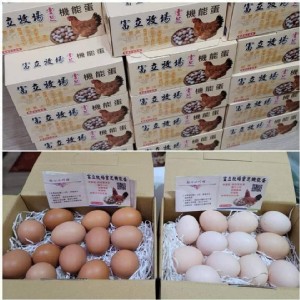 富立牧場靈芝機能蛋-紅殼