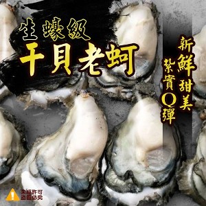 東石鮮蚵生蠔級干貝老蚵