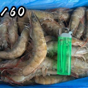 鮮甜白蝦1斤半