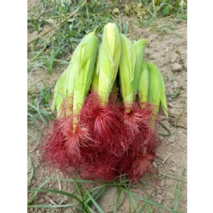 嘉義紅鬚玉米筍3斤