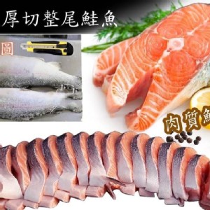 智利冰鮮整尾小鱒鮭