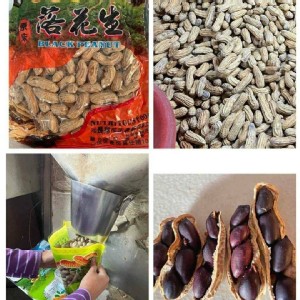 雲林元長黑金剛花生600g