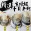 東石鮮蚵生蠔級干貝老蚵