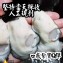 東石鮮蚵生蠔級干貝老蚵