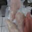鮟鱇魚