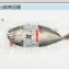 挪威鯖魚整隻