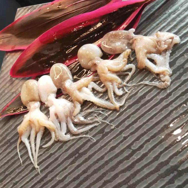 【飛飛購】嚴選鮮凍 一口小章魚 250g±10%