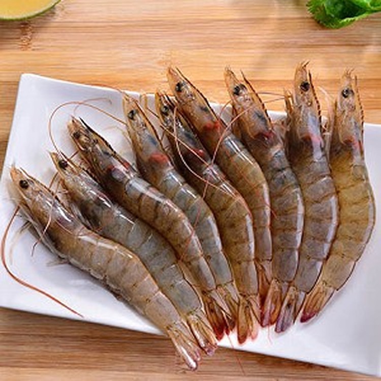 鮮凍生白蝦 - 海揚鮮物-海鮮水產批發直營店