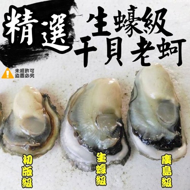 東石鮮蚵生蠔級干貝老蚵