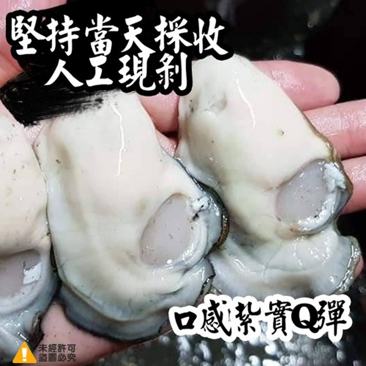 東石鮮蚵生蠔級干貝老蚵