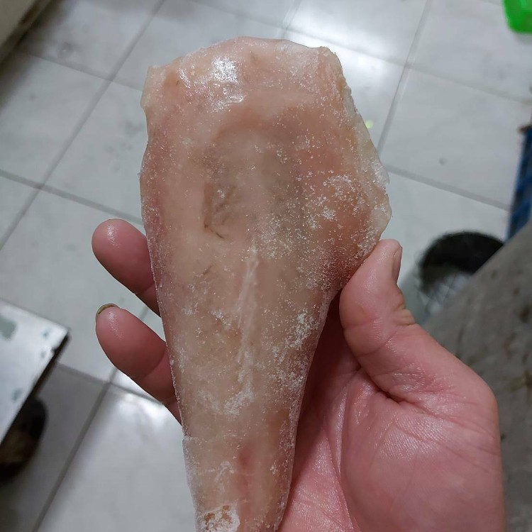鮟鱇魚