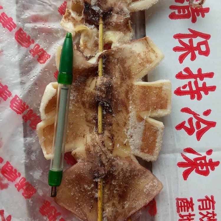 阿根廷生凍魷魚串
