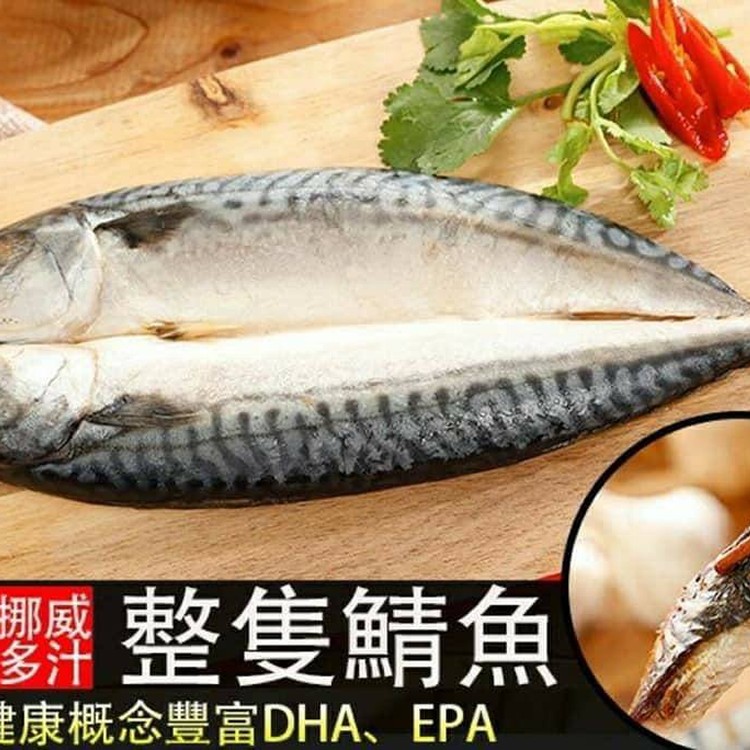 挪威鯖魚整隻