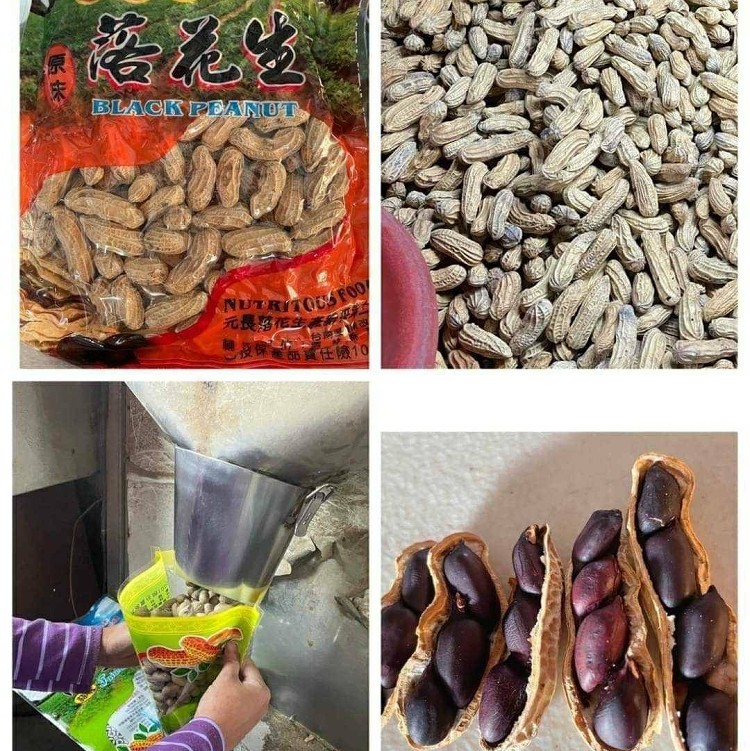 雲林元長黑金剛花生600g