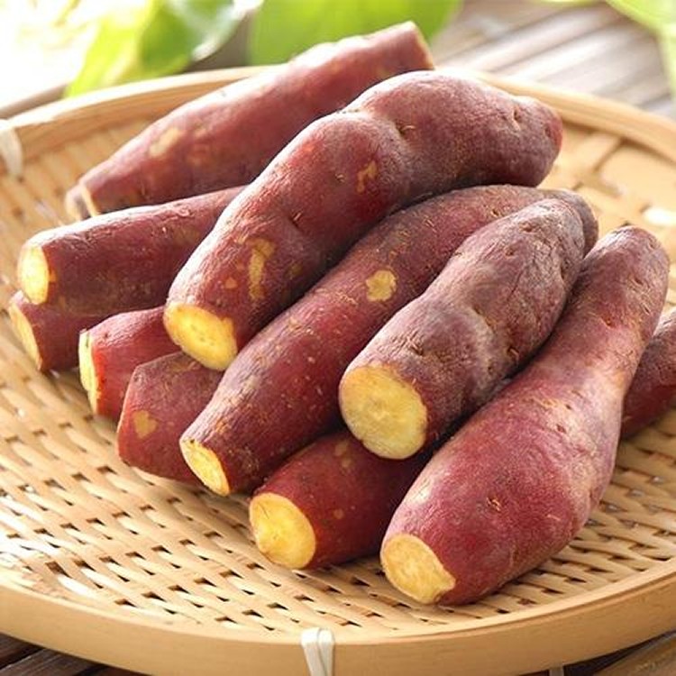 外銷日本特A級紅皮栗地瓜（栗香地瓜）1kg裝