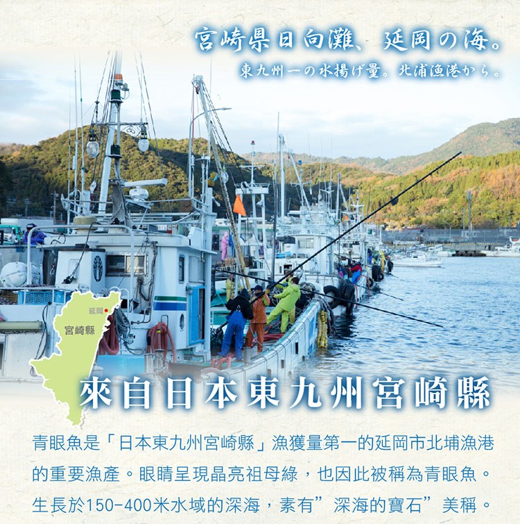 宮崎學日向 延国のな。東九州一の水揚げ量。光有夜港から。延岡。宮崎縣，來自目本東九州宮崎縣，青眼魚是日本東九州宮崎縣漁獲量第一的延岡市北埔漁港，的重要漁產。眼睛呈現晶亮祖母綠,也因此被稱為青眼魚。生長於150-400米水域的深海,素有”深海的實石”美