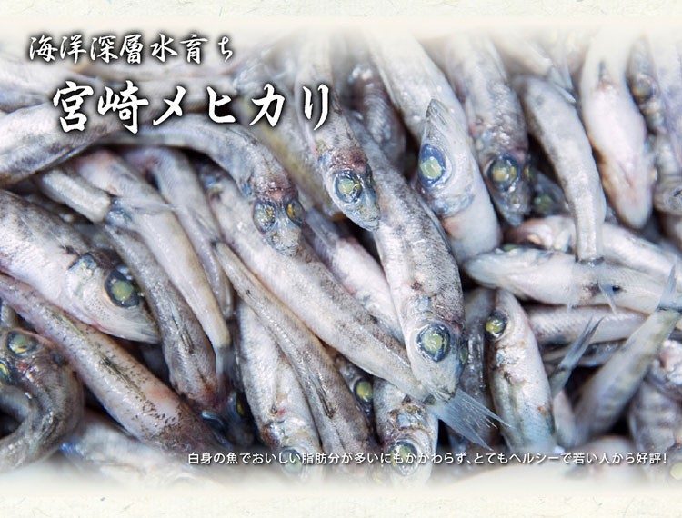宮崎メビカリ，白身の魚でおいしい脂肪分が多いにもかかわらず、とてもヘルシーで若い人から好評!。