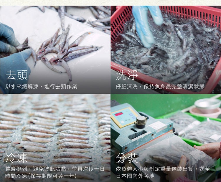 以水來緩解凍,進行去頭作業，仔細清洗,保持魚身最完整清潔狀態，整齊排列,避免彼此沾黏,並再次以一日，時間冷凍(保存期限可達一年)，依魚體大小與制定重量包裝出貨,送至，日本國內外各地。